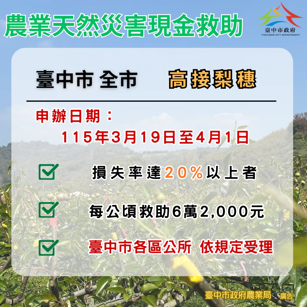 中市高接梨穗災損補助　3/19-4/1受災農民可申請現金救助